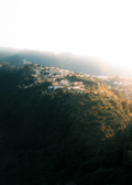 Golden Hillside