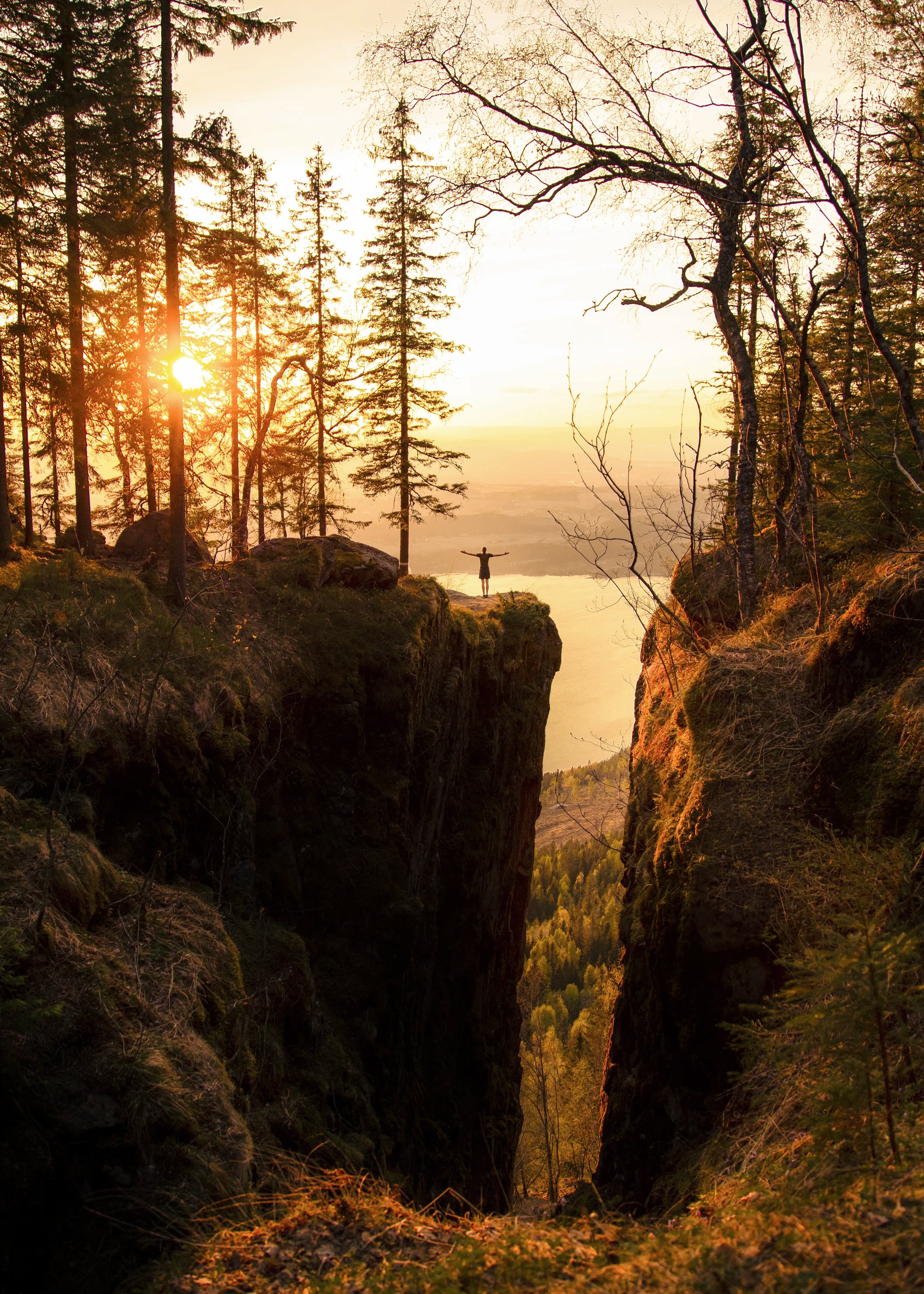 Golden Light
